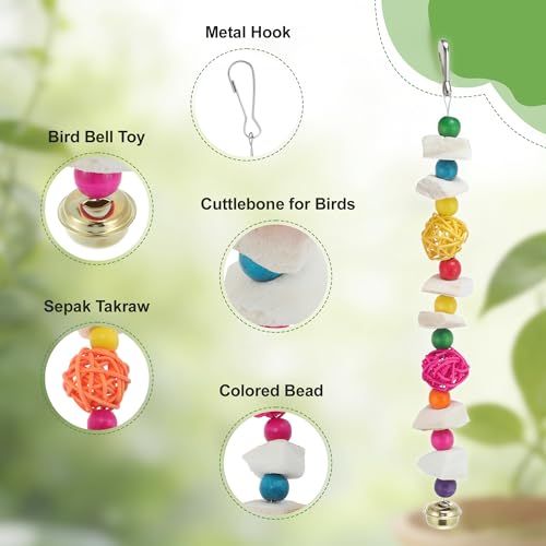 Bird Toys with Cuttlebone, Grinding Stone for Bird, 2 Pcs, C | Prevent Destructive Chewing, Colorful，White - style: Style C
