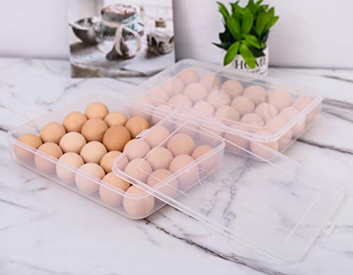 Sooyee 2 Pack Covered Egg Holders for Refrigerator,Clear 2X24 Deviled Egg Tray Storage Box Dispenser,Stackable Plastic Egg Cartons,Egg Holder Countertop(48 Eggs) - size: 2 Pack 24 Eggs
