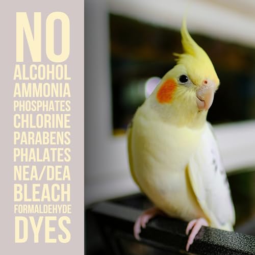 Natural Rapport Bird Cage Cleaner, Plant-Based Poop Remover Spray, 32 oz | Plant-based enzymes & probiotics, no harsh chemicals - Removes bird waste & odor - For all bird owners - size: 32 Ounce (Pack of 1)