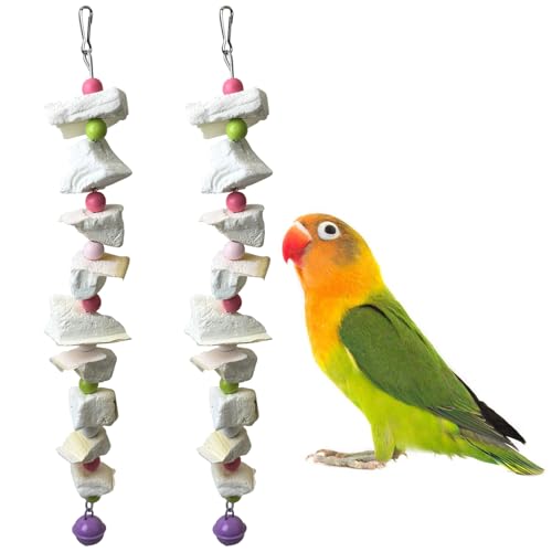 PINVNBY 2 Pack Bird Toys with Cuttlebone Calcium Parakeet Chewing Toy Hanging Bird Beak Grinding Stone Cage Accessories for Parrot Budgie Lovebird Cockatiel (Small) - size: Blocky