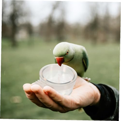 Toyvian Acrylic Bird Food Water Cups, 10pcs Detachable Hanging Cage Bowls for Parrots Parakeets Canaries Finches Clear Small Animal Feeder Dishes for Cages Easy to Clean