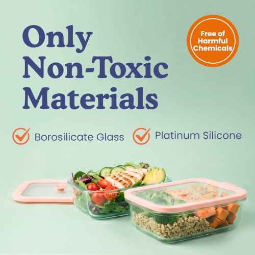 Non-Toxic Glass Food Containers with Lids, 4-Pack, 21 oz, Airtight, Gray | Plastic & BPA free. Glass body, glass lid & platinum silicone seal. Airtight & leakproof. Freezer & microwave safe. - color: Gray, size: 21 Oz