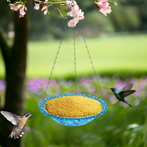 2-Pack Hanging Plastic Bird Bath and Feeder Bowls, Blue | Two hanging bowls serve as shallow bird baths, water dishes, or seed trays for gardens, patios, yards, and balconies. - color: Blue