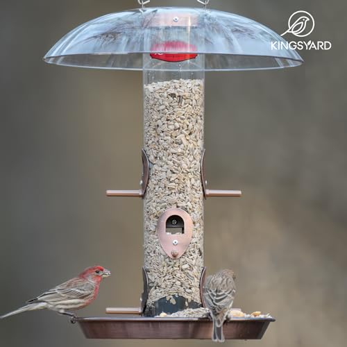 Kingsyard 6-Port Tube Bird Feeder for Outdoors Hanging | 9.5" Rustproof Metal Removable Tray, 11.5" Weatherproof Dome, 3 lb Seed Capacity, Garden & Backyard Birding Gift, Copper - color: Antique Copper