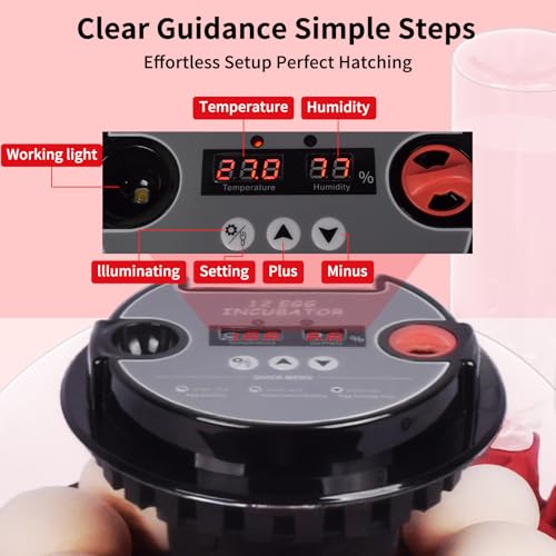 Incubators for Hatching Eggs with Automatic Egg Turning,Temperature & Humidity Control, Come with Egg Candler, External Water Bottles 360° Clear View Incubator for Hatching Chicken Eggs Quail Duck