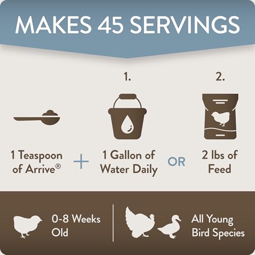 Arrive, Daily Probiotic & Prebiotic Water Supplement for Young Chickens 0-8 Weeks Old, 8 oz (Pack of 2) - color: FlockLeader Arrive, size: 8 Ounce (Pack of 2)