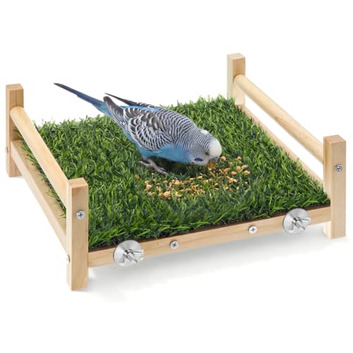 AceOrbit Bird Foraging Bed with Grass Mat 9.06 x 7.87 x 3.94 Inch Parrot Foraging Toy Hammock Bed Wood Frame Easy Install with Hardware Kit for Small Birds Cage Enrichment