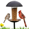 Metal Bird Feeder with Pole Stand - 1.5lb Capacity | Matte black finish, rust-resistant, attracts wild birds to yard, lawn, or garden, easy to install & fill, gifts for mom