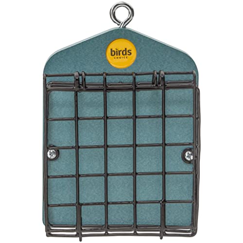 Birds Choice Suet Feeder for 2 Cakes | Recycled Plastic | Lake Blue | Hanging Cage Design Serves Woodpeckers and Nuthatches, Weather-Resistant for Year-Round Feeding - color: Lake Blue