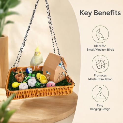 Natural Bird Toy Foraging Parrot Shredding Toys Box Conure Chewing Toys for Cockatiel Lovebird Parakeet Budgie Small-Medium Birds