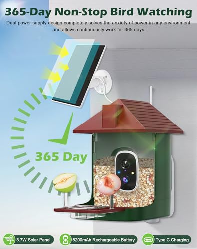 Smart Bird Feeder with Camera,5200mAh Battery with Solar Panel, 4K Native Resolution Live View, AI Species Identification, Auto Capture & Instant Arrival Alert, Ideal Gift for Bird Lovers (Red Green) - color: Green