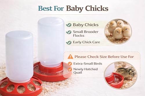 Baby Chick Feeder and Waterer Set, 1 Quart Poultry Starter Kit | Gravity-fed shallow water tray, compact brooder design, easy to refill and clean, for chicks, ducklings and small poultry