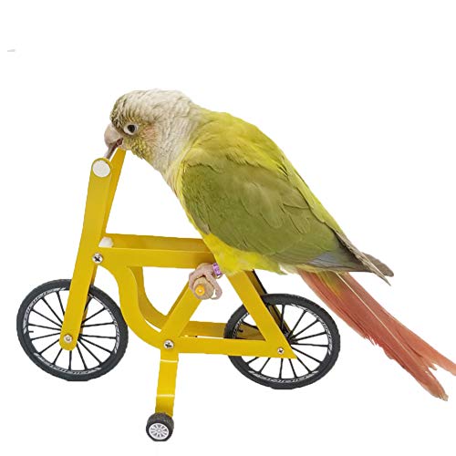 QBLEEV Bird Intelligence Training Toy - Parrot Puzzle Bicycle for Birds | Trick prop training education interactive table top & foot talon toy for african grey cockatoo conures cockatiel quaker - size: Large