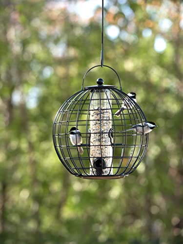 Gardener's Supply Company Globe Cage Bird Feeder | Outdoor Sturdy and Squirrel Proof Hanging Cage | Best for Finches Hummingbirds Nuthatches and Other Small Birds - Holds 3 Cups of Seeds