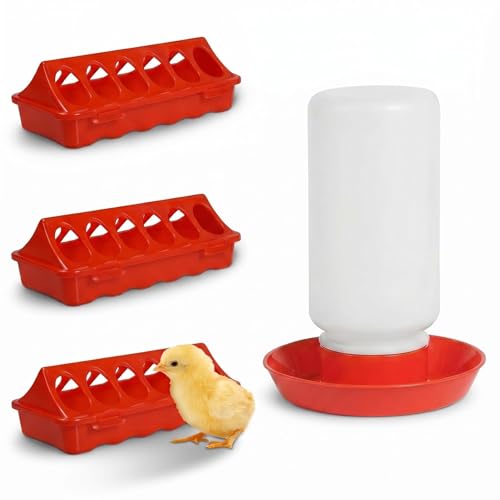 4PCS Chick Feeder and Waterer Kit,Baby Poultry Starter Set for Small Poultry Chicks Ducks Quail Pigeons Birds(Red Chick Feeder Waterer Kit) - color: 4PCS Chick Feeder and Waterer Kit