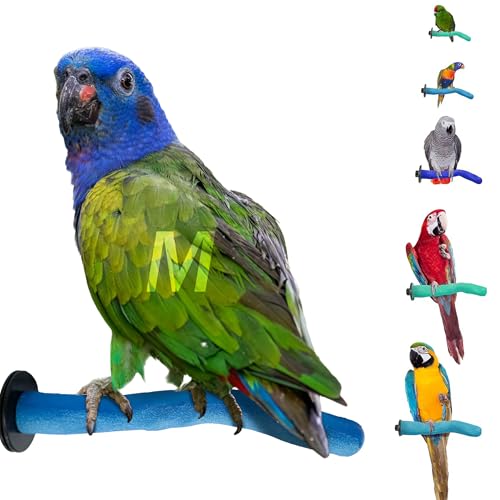 Sweet Feet and Beak Safety Pumice Bird Perch, Medium Pedicure Perch, Blue | Plastic Bird Nail Trimming Perch, Pumice Coated Surface for Healthy Feet and Beak, 9" Lightweight Perch, Available In 5 Sizes - color: Blue, size: Medium 12"