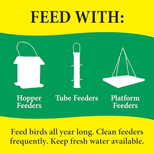 Wild Delight 366200 20-Pound Nut N-Berry Birdfood, 20 lb - size: 20 Pound (Pack of 1), style: Nut N' Berry-20lb