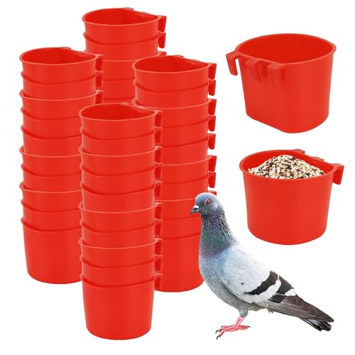40 Pcs Cage Cups Birds Feeders Bird Water Dispenser Hanging Quail Waterer Plastic Chicken Feeding Watering Dish for Small Coop Parrot Parakeet PET Poultry Pigeon Gamefowl Food Seed Bowl Supplies(Red) - color: 8oz-Red