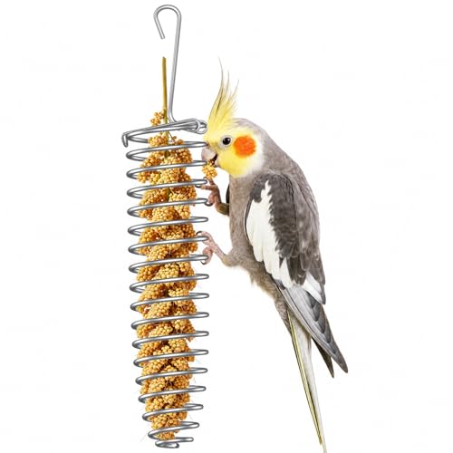 Pawfly Millet Spray Holder, Millet Holder for Bird Cage, Stainless Steel Bird Treat Holder, Bird Cage Food Holder for Parrots, Parakeet Foraging Feeder for Fruits, Veggies & Treats