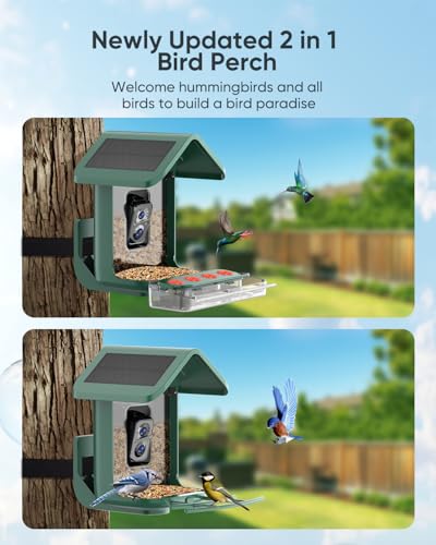 Bird Feeder with Camera Solar Powered: Smart Hummingbird Feeder for Backyard Tree - 2K Live AI Identify Auto Capture Bird Video - WiFi Bird Watching Feeders Gift for Mom Dad - color: deep green