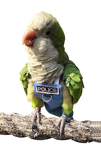 Poli(L) Bird Flight Suits & Diapers - Reusable, Waterproof Pet Bird Supplies
