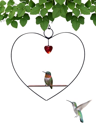 Tweet Heart Hummingbird Swing - Black - Wooden Dowel | Decorative Jewel Heart - Hummingbirds Guard Their Feeder - Black Metal Frame - color: Black