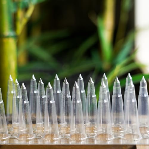 Touri PVC Bird Spikes, Upgraded 24 Packs, Covers 34 Feet (10.36m) | Clear Deterrent Strips, Restrict Birds From Standing and Nesting, Keep Birds Cats Pigeons and Other Animals Away - size: 34 Feet