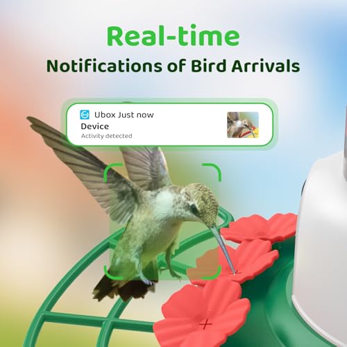 SEHMUA Smart Hummingbird Feeder with Camera, Solar Powered Humming Bird Camera Feeder with 1-Year AI Bird Identification Trial, Ant Moat & Bee-Proof, Outdoor Hanging, Gift for Bird Watching - color: Green