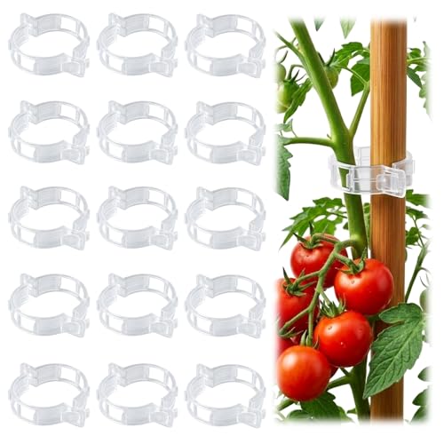 LOOHOI 100Pcs Tomato Clips for Climbing Plants Trellis Plant Support Clips | Reusable Clips for Supporting Grape Tomato Vine and Vegetables Plants to Grow Upright Makes Plants Healthier (Translucent) - color: Translucent