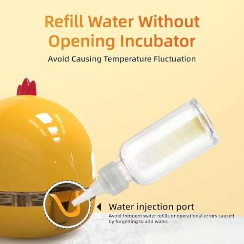 Small Household Egg Incubator USB Powered Transparent Observation Cover with Egg Projector can Hold 5 Eggs