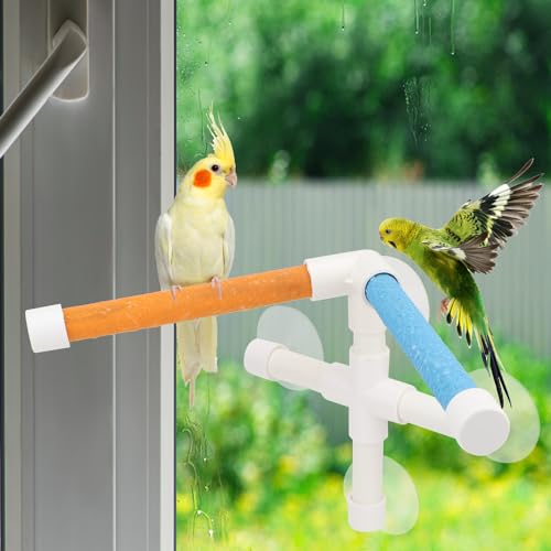 Hypeety Portable Suction Cup Bird Window and Shower Perch Toy Parrot Stand | 3 strong suction cups, parrot bath perch with quartz sand surface, fits windows/tile, for small and medium birds, 2 stands