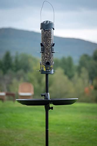 Brome Mega 600 Bird Feeder – Large Capacity Tube Feeder for Wild Birds, 6 Feeding Ports, 4 lb Seed Capacity, Easy to Clean, Metal Ports, Extendable Perches | Six metal ports, extendable perches, easy cleaning