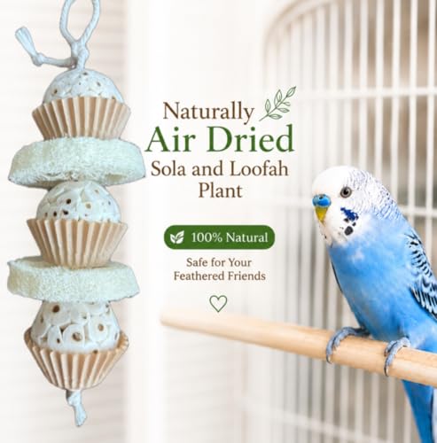 Shred and Destroy Natural Bird Toy - Double Texture Soft & Crunchy - Sola Ball and Loofah Plant - Small Birds - Budgies, Lovebirds - 2 Pack