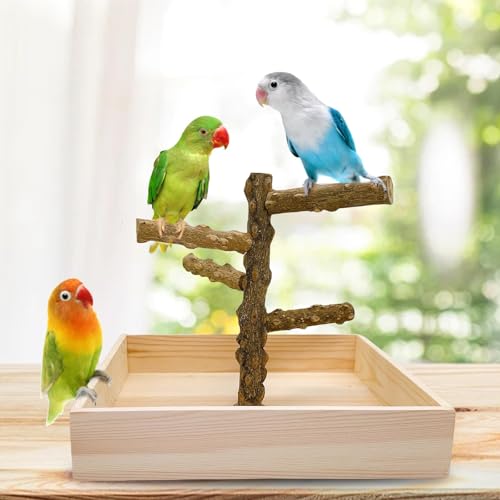 Natural Wood Bird Perch Stand Playground Parrot Toys Bird Cage Accessories | Portable Tabletop parrot perch with Potty Tray,Climbing Training Platform for Parakeets Lovebirds Canaries Cockatiels Conure