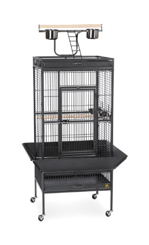 Prevue Pet Products 3152BLK Wrought Iron Select Bird Cage, Black Hammertone | Large Steel Cage with Rolling Stand, Seed Guards, and Playtop, Ideal for Conures and Medium Birds - color: Black Hammertone, size: 24.0"L x 20.0"W x 60.0"H