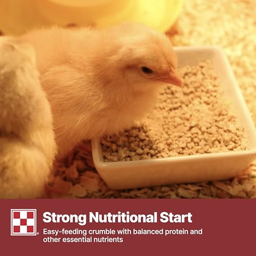 Purina Start & Grow | Nutritionally Complete Medicated Chick Feed Crumbles | 25 Pound (25 lb.) Bag