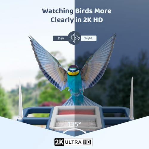 LIWAN Bird Feeder with Camera Solar Powered, 1 Year Trial AI Identify, 2K Live Video, Smart Bird Feeder Camera Wireless Outdoors, 2.4GHZ WiFi, Instant Arrival Alerts, Ideal Gift for BirdLovers