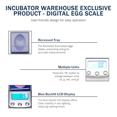 Digital Scale with Blue Backlit LCD Display - Accurate Humidity Measurement