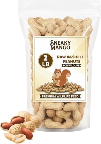 Sneaky Mango Raw Peanuts in Shell - 2 Pounds – All-Natural Food for Squirrels, Deer, Birds, and Other Wildlife Animals – Grown in The USA for Healthy Nutrition