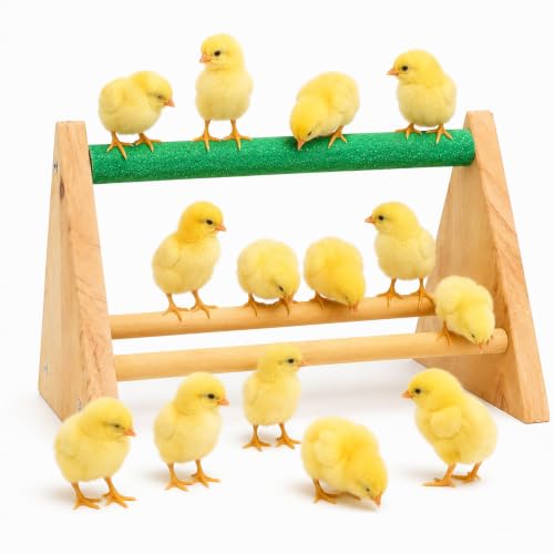 Chicken Perch Parrot Wood Perch, Trimming Bird Strong Chick Jungle Gym Roosting Bar for Coop and Brooder, Training Perch Toys for Large Bird, Parrot, Macaw, Hens (Random)