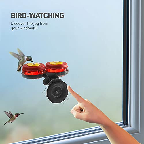 Handheld Small Glass Hummingbird Feeders (Set of 2) with Window Suction Mount Base - Window/Handheld or Tabletop Mini Hummingbird Feeders for Outdoors - style: 2 Hand Feeders + suction cup