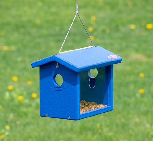 Recycled Bluebird Mealworm Feeder Hang or Mount (Blue, Blue) | Hang or Mount - color: Blue, Blue