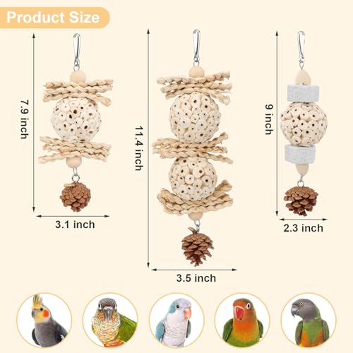 Wontee Bird Toys 3 Pack Parrot Foraging Hanging Toys Sola Ball Natural Nuts Chew Toys for Cockatiels Conures Parakeets Budgies Senegal (3 Pack) - size: 3 Pack