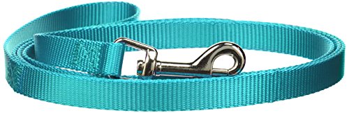 Zack & Zoey Basic Nylon Dog Leash, 6-Feet x 1-Inch Lead, Bluebird - color: Bluebird, size: 6-Feet x 1-Inch Lead