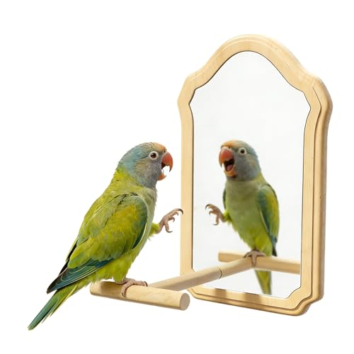 Parrot Mirror Toy with Natural Wood Perch | Fun Self-Entertainment for Birds | Prevent Boredom, Feather Plucking & Loud Calls | Acrylic Mirror and Wood Perch for Parakeets, Cockatiels, Lovebirds