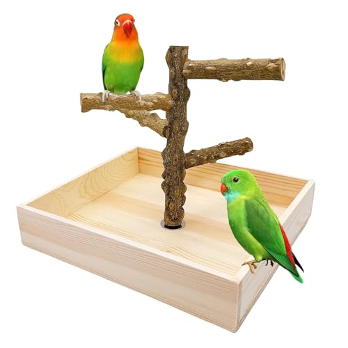 Natural Wood Bird Perch Stand Playground Parrot Toys Bird Cage Accessories | Portable Tabletop parrot perch with Potty Tray,Climbing Training Platform for Parakeets Lovebirds Canaries Cockatiels Conure