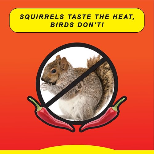 Wild Delight Sizzle N' Heat Bird Food, 5 lb (372050) (Pack of 6) - size: 5 Pound (Pack of 6), style: Sizzle N' Heat 5lb
