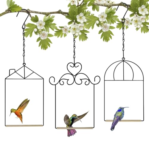 Metal Frame Hummingbird Swings and Perches with Wooden Dowel Black Bird Swing Outdoor Bird Perch Humming Bird Swing (3PK Different) - style: 3PK different