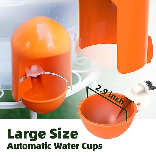 Large Chicken Waterer Cups Automatic with Anti-Roosting Cover | Poultry Waterer Cups Suitable for Chicks, Duck, Goose, Turkey and Bunny (5 Pack)