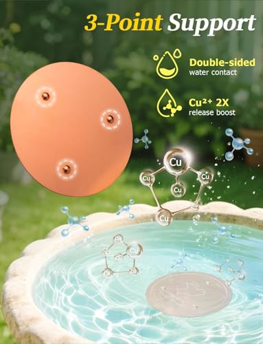 Mellbree 2-Pack Bird Bath Copper Disc, 0.6mm Reinforced 99.99% Pure Copper Cleaning Disk with Triple-Point Support for Physical Safe Clean Water All-Season, Universal Fit for Outdoor Birdbaths, Bowl - color: Copper Bird